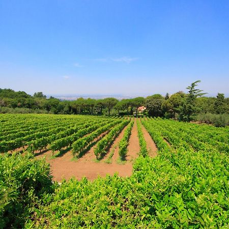 Frascati Country House Grottaferrata Exteriör bild